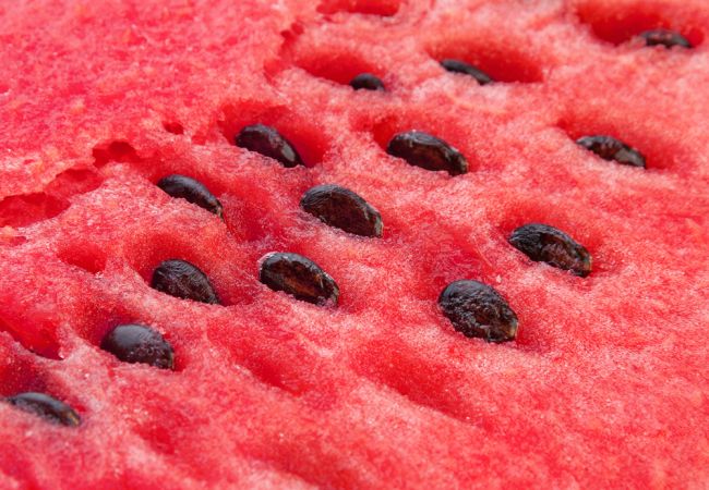 Melónové semienka: 6 dôvodov, prečo ich prestať vyhadzovať