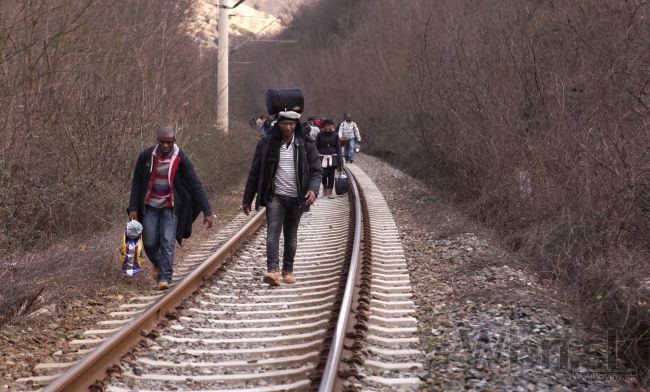 Maďarská polícia opäť zadržala stovky ilegálnych migrantov
