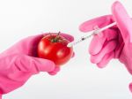 Viete, ktoré sú najčastejšie geneticky modifikované potraviny?