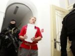 Údajného mafiánskeho bossa Mišenku prepustili z väzby