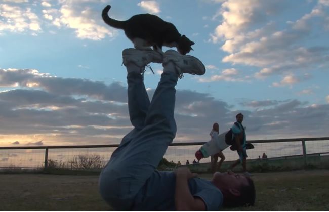 Video: Najlepšie trénovaná mačka na svete