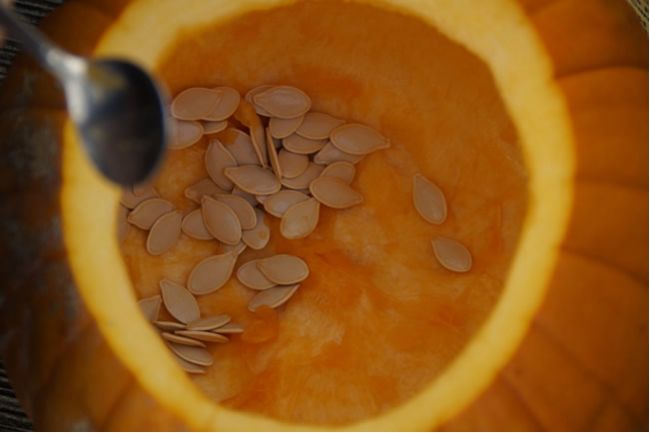 Tekvicové semienka – 8 dôvodov, prečo ich jesť