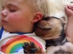Video: Keď psíkovia spia s bábätkami