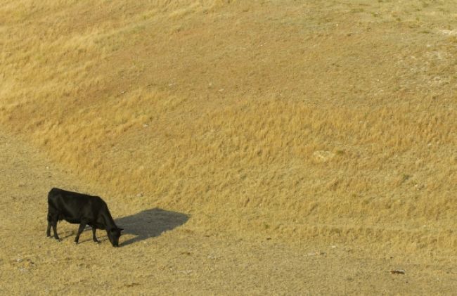Česko sužuje najhoršie sucho za desaťročie, dážď sa neblíži