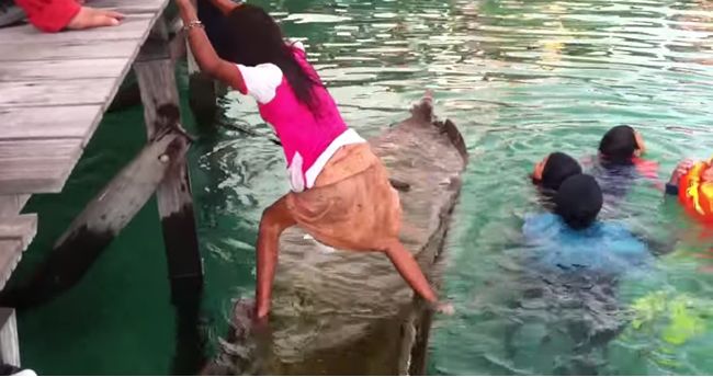 Video: Šikovné dievča zachráni potápajúce sa kanoe