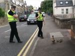 Video: Polícia eskortuje kačky do bezpečia
