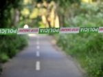 Pri Vranove nad Topľou našli zakopané telíčko novorodenca