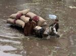 Záplavy v Pakistane si vyžiadali desiatky obetí