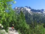 Tatry zažívajú top sezónu, turisti sa vyhýbajú teroristom