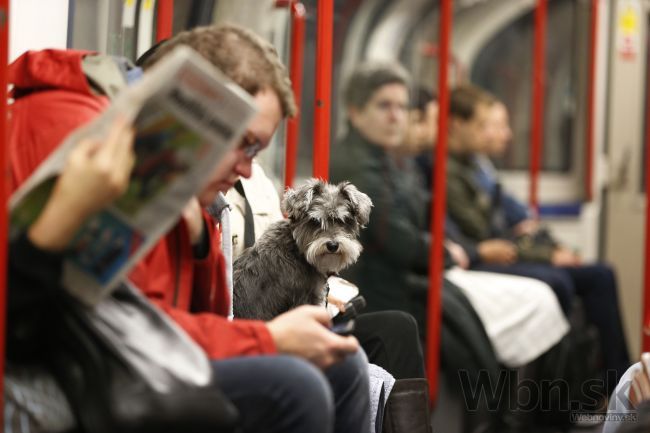 Londýnske metro ponuky odmietlo, chystá ďalší štrajk