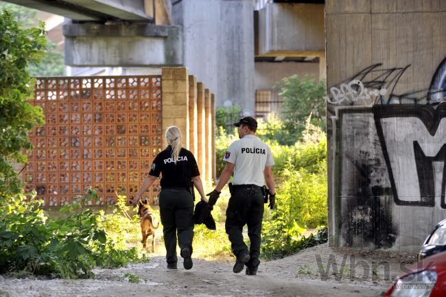 Polícia na Slovensku výrazne stráca rešpekt, obáva sa Hlina