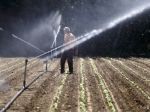 Na Záhorí ubúdajú zásoby vody, BVS vyzýva na jej šetrenie