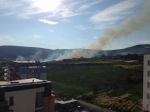 Vinice v bratislavskej Rači sú opäť v plameňoch