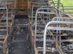 Pri Prešove zhorel do tla autobus mestskej hromadnej dopravy