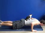 Video: Ako cvičiť s mačkou