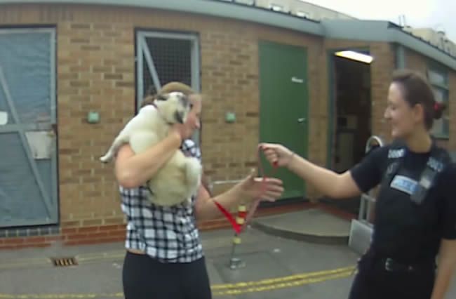 Video: Stratený psík sa zvíta s majiteľkou