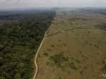 Smutná správa: Zem prišla o lesy na území dvojnásobku Portugalska