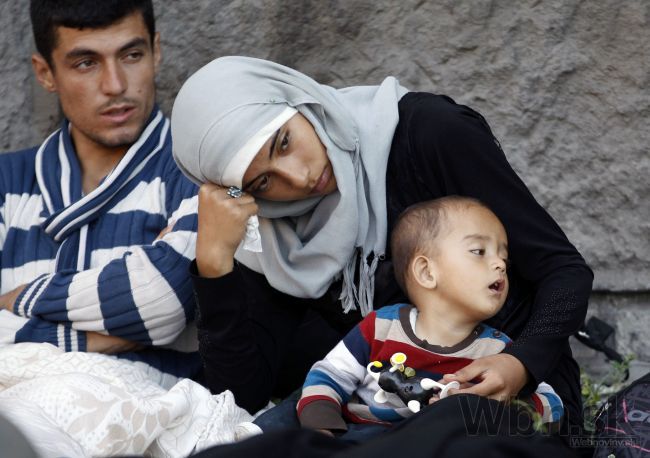 SDKÚ znepokojujú utečenci, treba sa zaujímať o ženy a deti