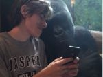 Video: Gorila si rada pozrie vaše fotografie