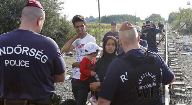 Pri Röszke dokončili plot, migranti čakajú na vstup