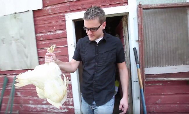 Video: Ako si urobiť sendvič za 1500 dolárov behom 6 mesiacov