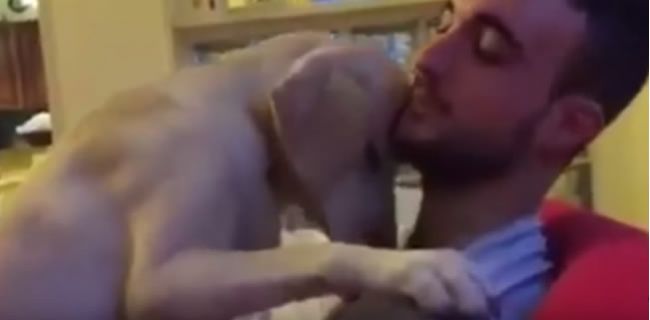 Video: Keď sa psík snaží ospravedlniť