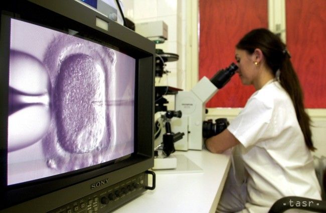 Francúzski vedci opísali, ako vyvinuli v skúmavke ľudské spermie