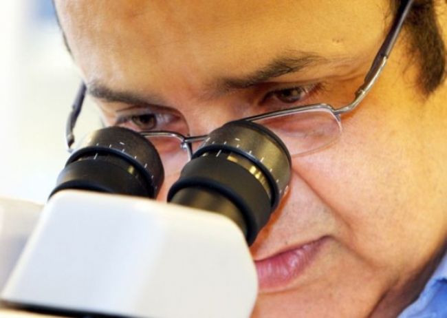 Japonskí vedci úspešne otestovali obličku z kmeňových buniek