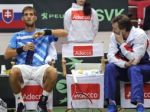 Slováci poznajú možných súperov v II. kole Davis Cupu