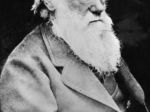 Darwinov list z roku 1880 vydražili za 197 tisíc dolárov