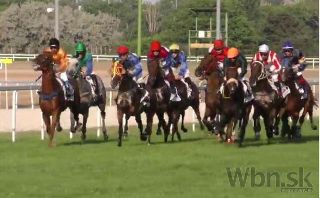 Šedivého Oriental Sky triumfoval na dostihoch St. Leger