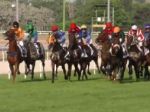 Šedivého Oriental Sky triumfoval na dostihoch St. Leger