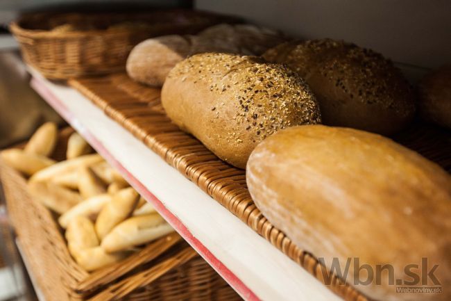 Smer hodil čokoládu medzi vyhladované deti, tvrdí o dani SaS