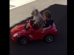 Video: Psík vozí chlapca v aute