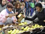 Jablká Golden Delicious dopadli v teste na pesticídy v SR najhoršie