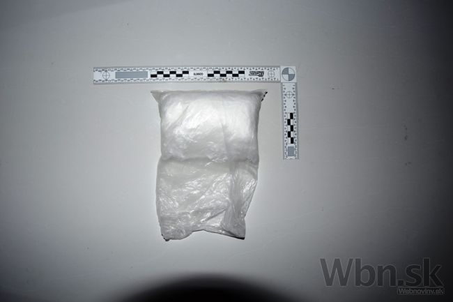 Polícia zadržala pri razii pol kilogramu kokaínu z Holandska
