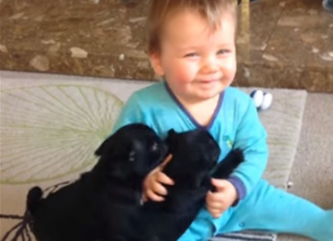 Video: Rozkošné bábätko so šteniatkami vám vyčaria úsmev na tvári