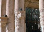 Islamský štát popravoval v Palmýre, obete odpálil na stĺpoch