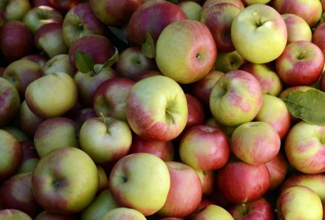 Väčšina ľudí by prijala dostupnejšie slovenské bio výrobky