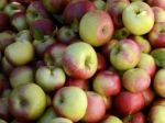 Väčšina ľudí by prijala dostupnejšie slovenské bio výrobky