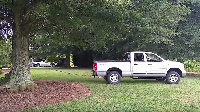 Video: Auto verzus strom