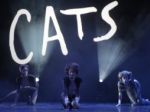 Nová scéna pripravuje muzikál Cats