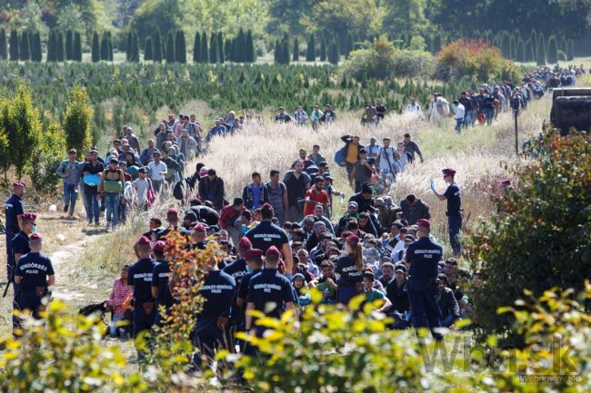 Lídri EÚ sa dohodli s Etiópiou o riešení migračnej krízy