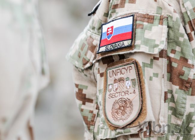 Na Slovensku bude dobrovoľná vojenská príprava