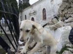 Grécky ostrov Lefkada zasiahlo silné zemetrasenie