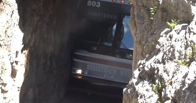 Video: Autobusár má nervy zo železa!