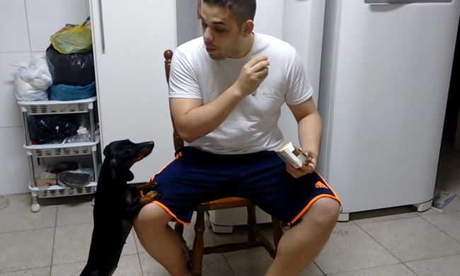 Video: Ako donútite psíka zjesť tabletku?