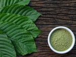 Kratom: Úžasný liek alebo internetová droga?