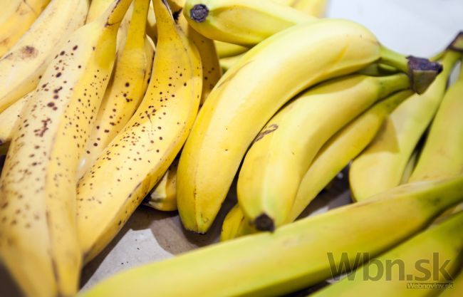 Vedci vystopovali nový kmeň plesne, ktorá ohrozuje banány