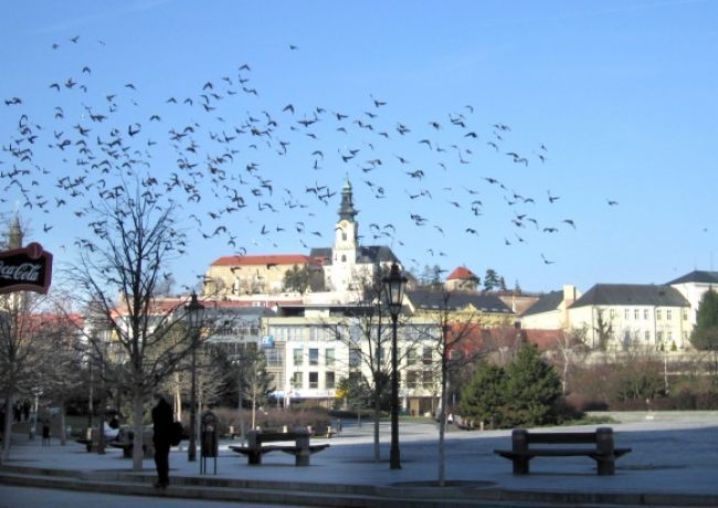 Mesto Nitra ponúkne obyvateľom 154 elektronických služieb